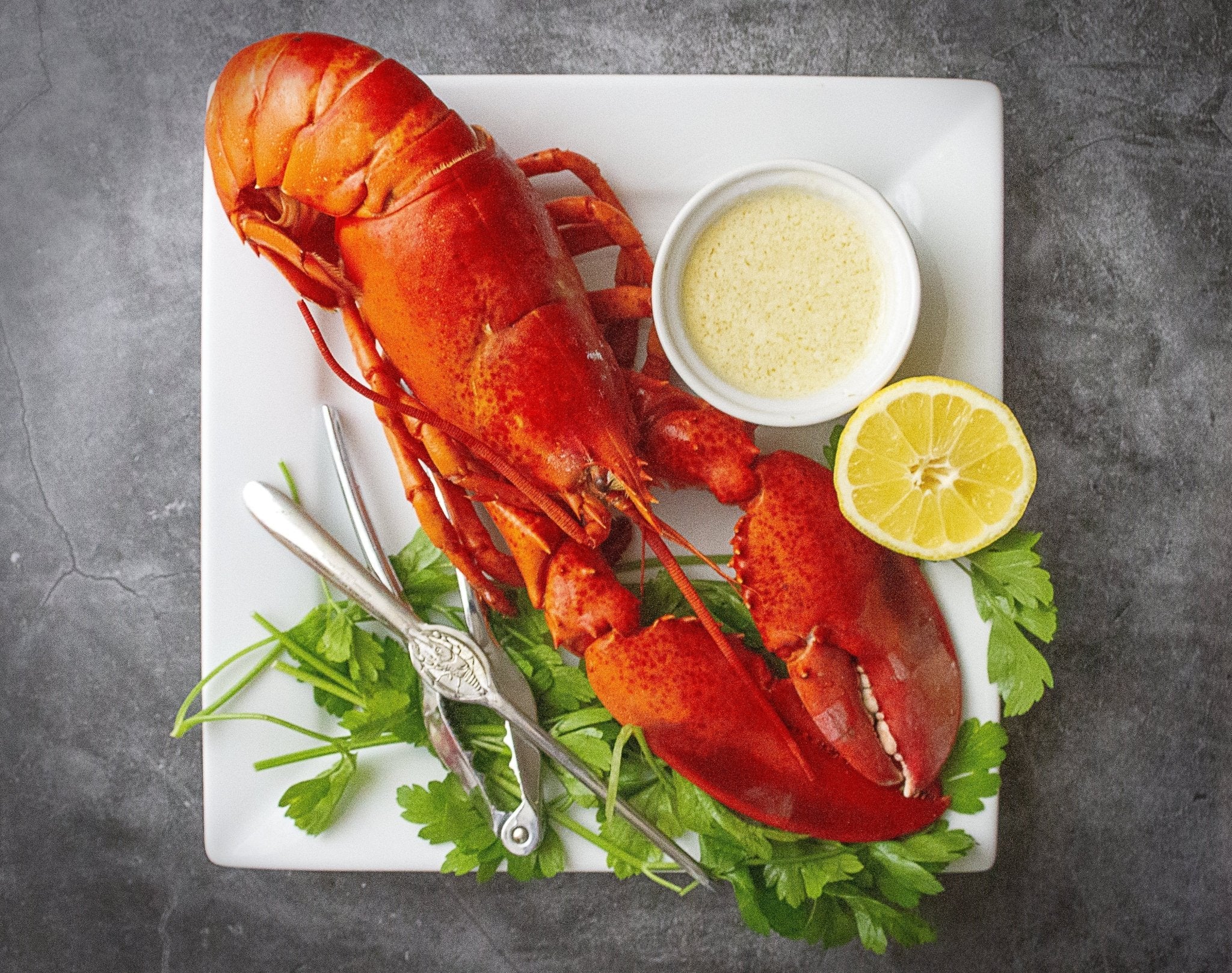 Lobster